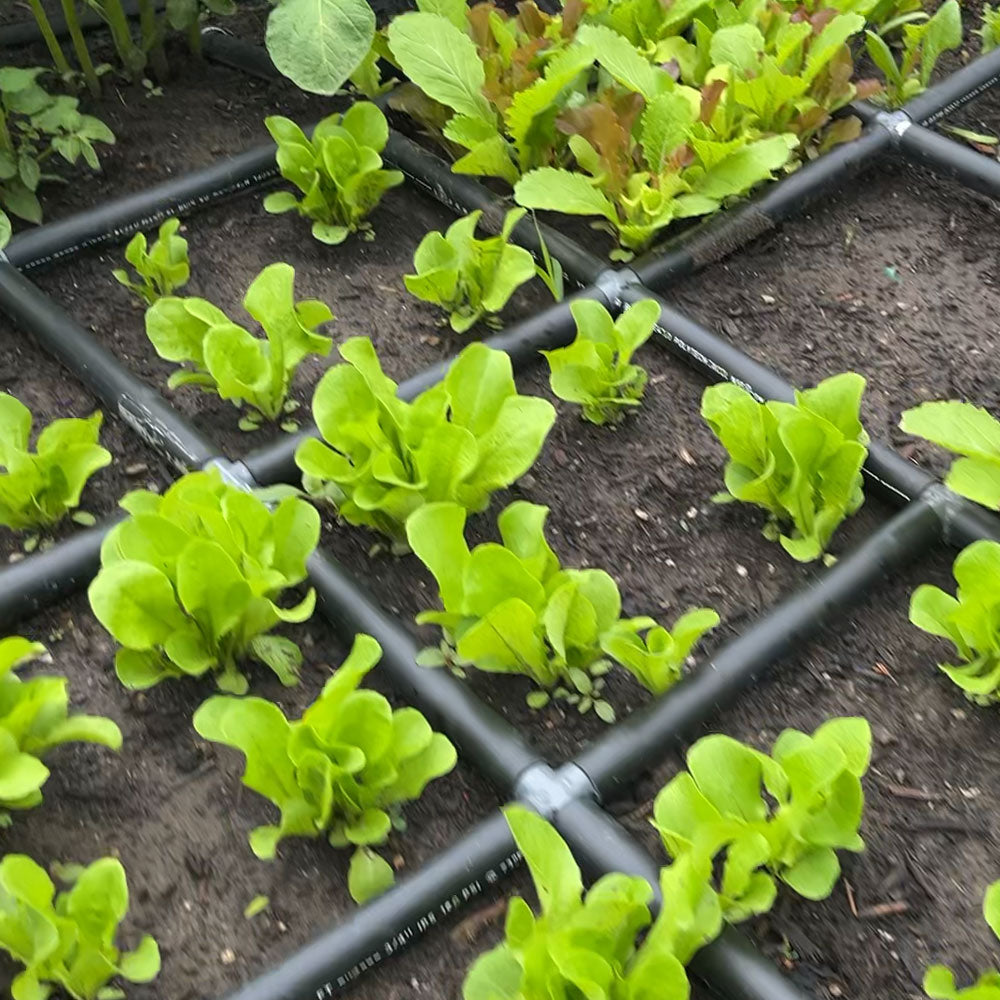 DIY Drip Irrigation Watering Grid Project Plans